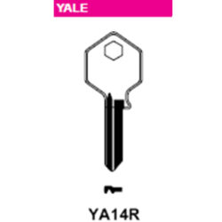 YA14R