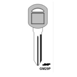 GM29P